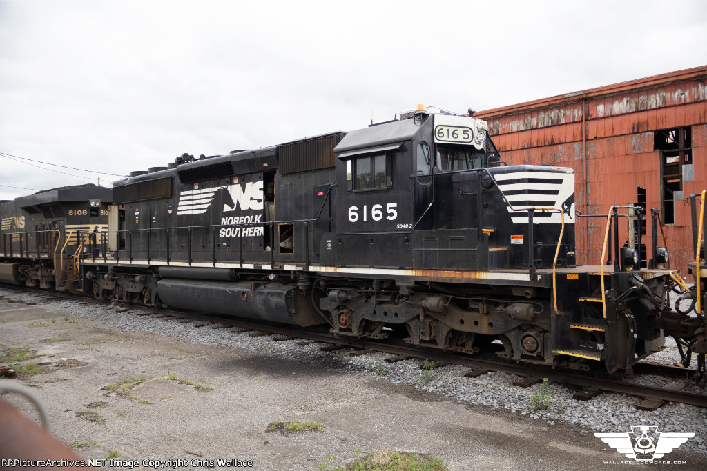 NS 6165